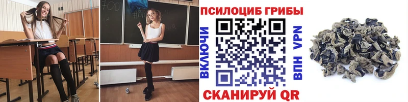 Галлюциногенные грибы MAGIC MUSHROOMS  Всеволожск 